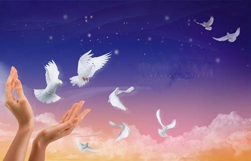 Khi lòng tốt được trao đi