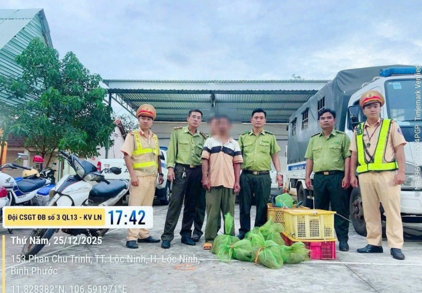 Cuối năm, mạnh tay xử lý tình trạng nuôi nhốt chim trời, thú hoang trái phép