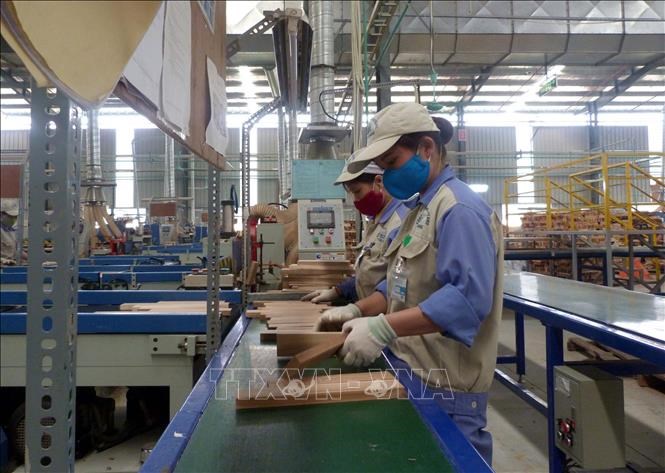 cục hàng không “tuýt còi” các hãng bay mở bán vé nội địa