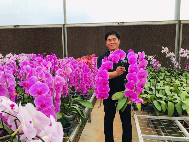 Hoa lan hồ điệp được trồng trong nh&agrave; k&iacute;nh hiện đại ở L&acirc;m Đồng gi&uacute;p sản phẩm hoa ng&agrave;y c&agrave;ng chất lượng hơn.