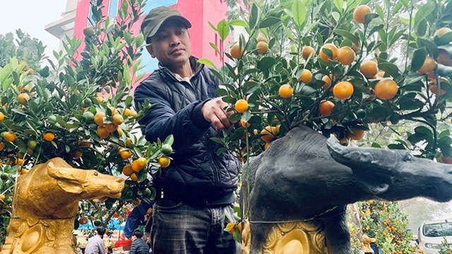 Chủ vườn đang chăm ch&uacute;t sản phẩm trước khi tới tay kh&aacute;ch h&agrave;ng