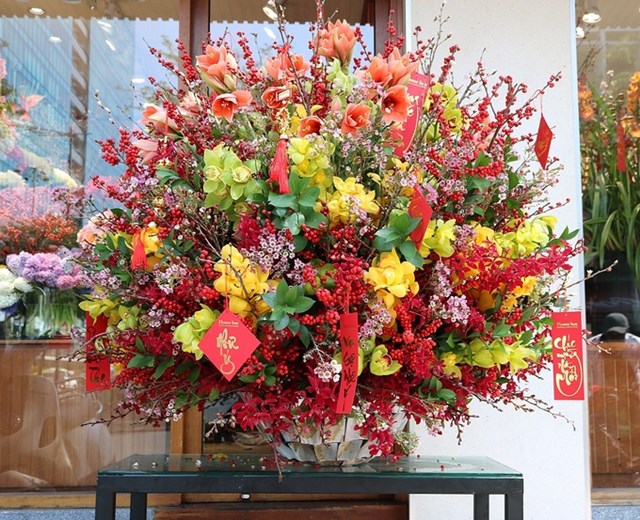 B&igrave;nh địa lan, đ&ocirc;ng đ&agrave;o Ilex, thanh liễu v&agrave; hoa lan tứ diện gi&aacute; 40 triệu đồng.&nbsp;