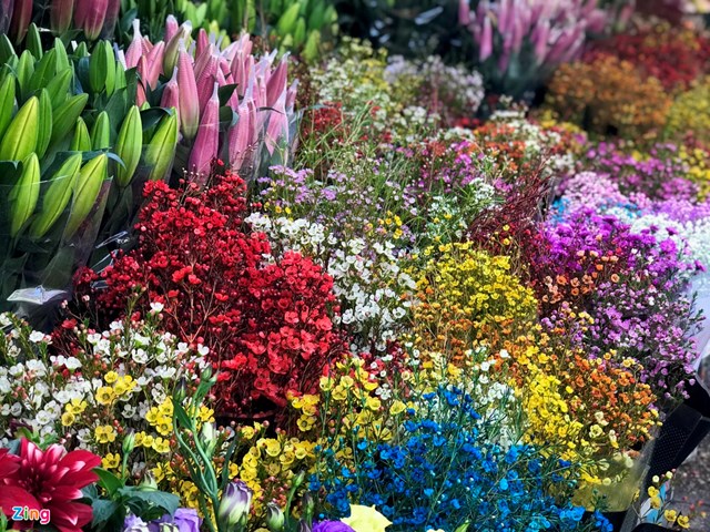 Tại c&aacute;c chợ hoa truyền thống kh&ocirc;ng kh&oacute; để nhận ra sự hiện diện c&oacute; phần &aacute;p đảo của c&aacute;c loại hoa, c&acirc;y cảnh Trung Quốc.