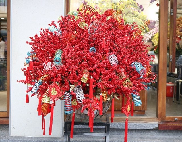 B&igrave;nh đ&ocirc;ng đ&agrave;o Ilex gi&aacute; 60 triệu đồng.&nbsp;