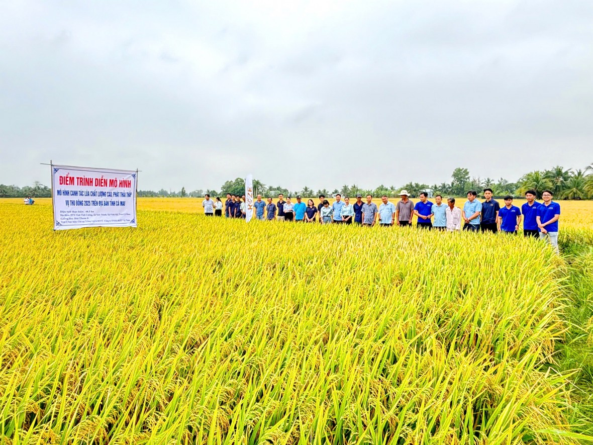 Vĩnh Mỹ (Cà Mau): Tạo nền tảng vững chắc cho nhiệm kỳ phát triển mới Vĩnh Mỹ (Cà Mau): Tạo nền tảng vững chắc cho nhiệm kỳ phát triển mới