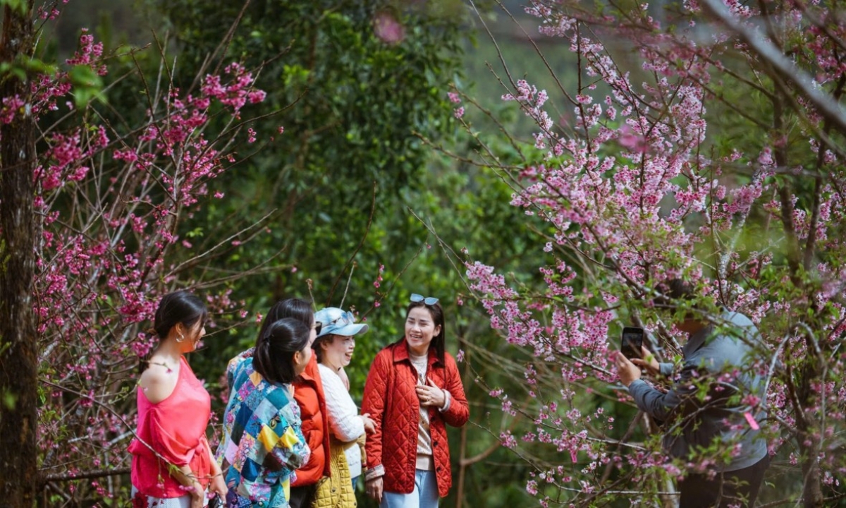 Quảng Ngãi đón hơn 96.000 lượt khách trong kỳ nghỉ Tết Dương lịch