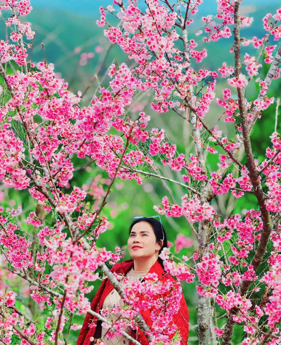 Quảng Ngãi đón hơn 96.000 lượt khách trong kỳ nghỉ Tết Dương lịch Quảng Ngãi đón hơn 96.000 lượt khách trong kỳ nghỉ Tết Dương lịch