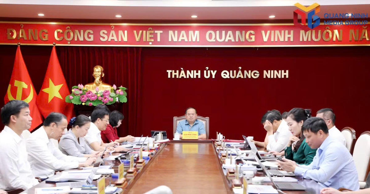Quảng Ninh dự kiến thí điểm mô hình mới trong giáo dục và y tế