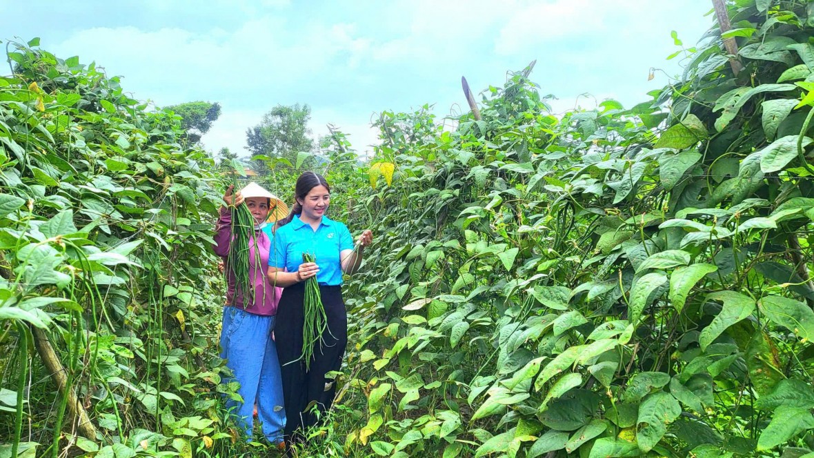 Xuân ấm trên quê hương Bom Bo anh hùng