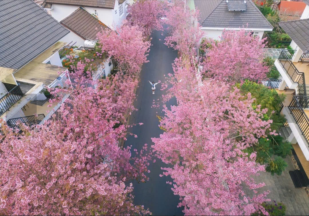 Lâm Đồng: Rộn ràng chuỗi hoạt động văn hóa - thể thao - du lịch dịp Tết Bính Ngọ 2026