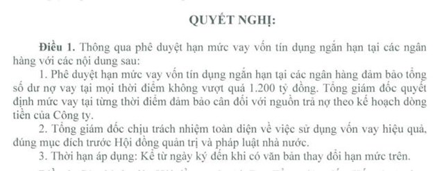 Cao su Đà Nẵng (DRC) phê duyệt hạn mức vay vốn tín dụng ngắn hạn tại ngân hàng - Ảnh 1