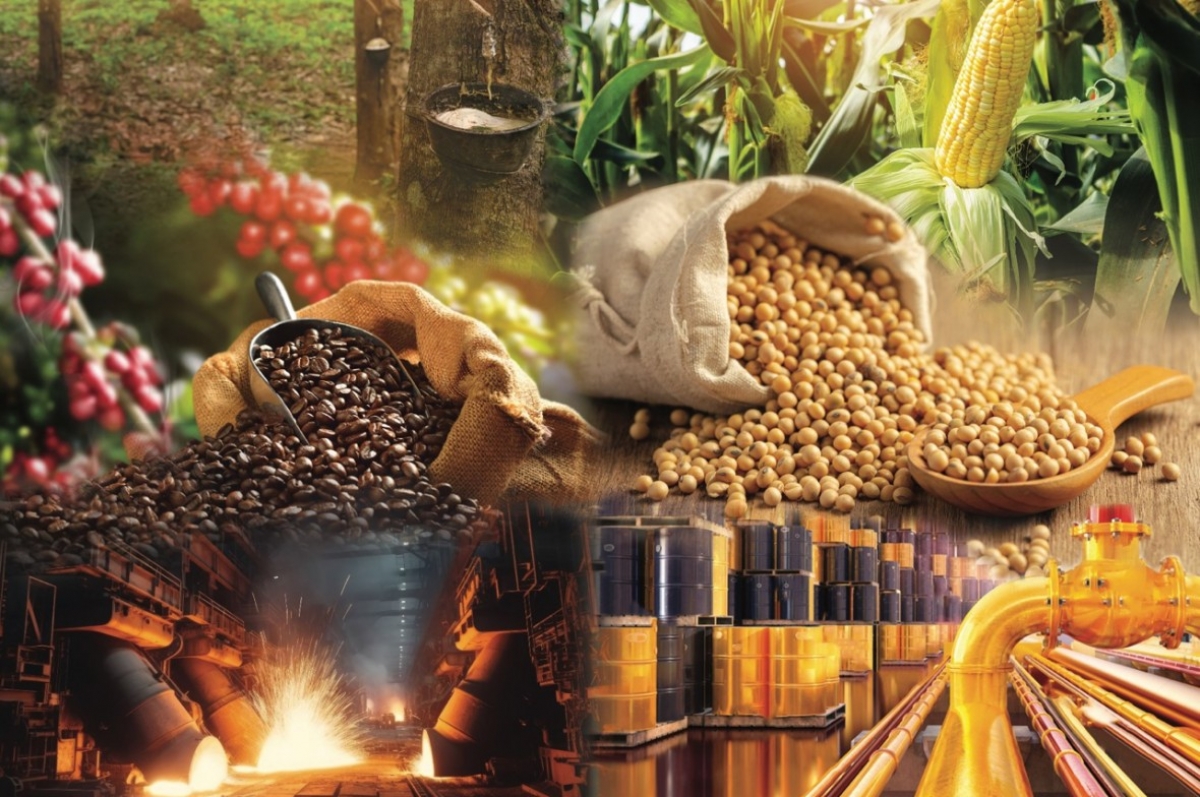 Xuất khẩu bền vững: Không thể duy trì tư duy một sản phẩm cho mọi thị trường