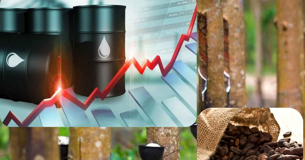 MXV-Index tăng phiên thứ 10 liên tiếp, duy trì trên vùng cao kỷ lục 2.900 điểm