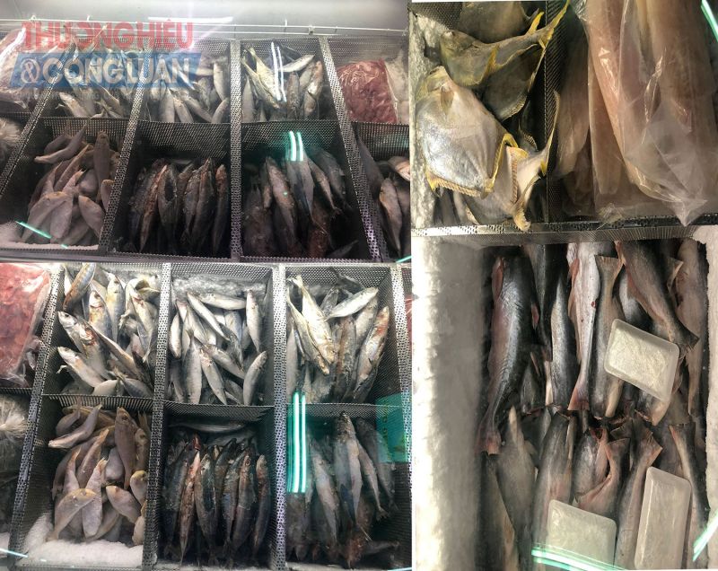 Cá trong đủ ướp đông trơ trần không có bất cứ thông tin gì về kiểm định chất lượng cũng như nơi cung cấp nguồn hàng hoá