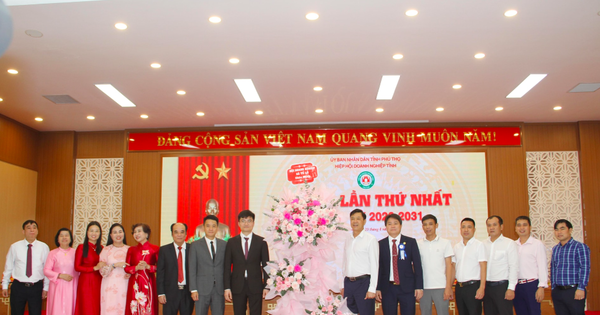 Hiệp hội Doanh nghiệp tỉnh Phú Thọ sẵn sàng cho Đại hội lần thứ I: Kiện toàn tổ chức, định hình vai trò “cầu nối” pháp lý và phát triển