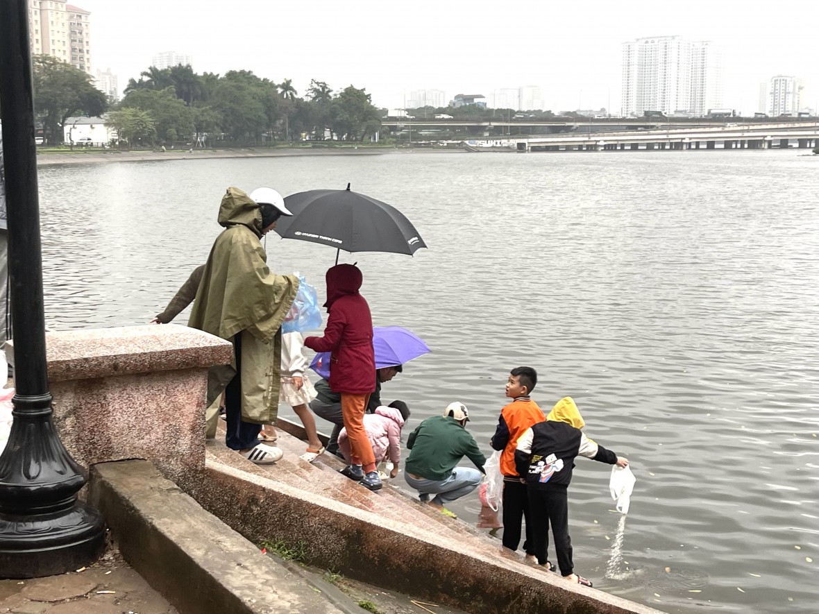 Người Hà Nội mặc áo mưa thả cá chép sớm trong ngày mưa lạnh Người Hà Nội mặc áo mưa thả cá chép sớm trong ngày mưa lạnh