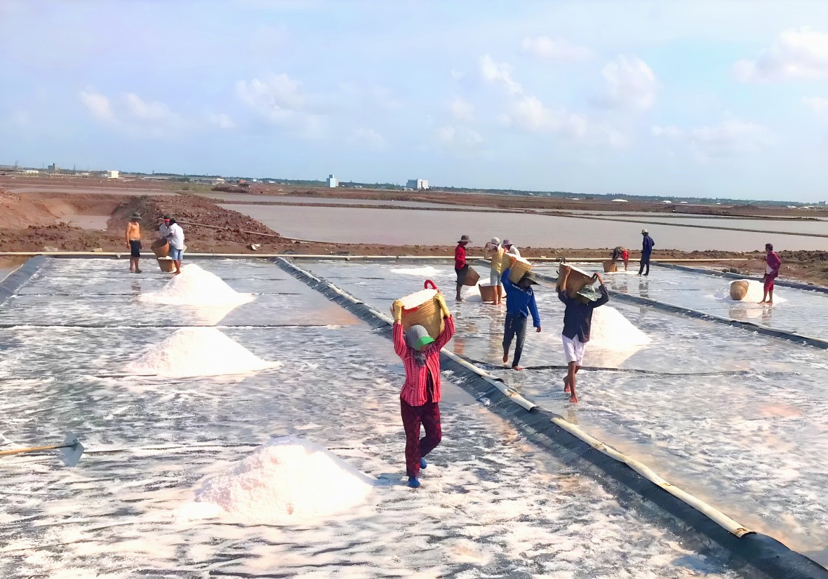 Long Điền (Cà Mau) bứt phá sau sáp nhập: Tạo nền tảng tăng trưởng nhanh và bền vững