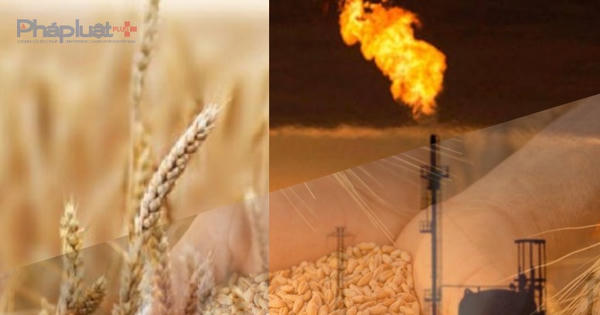 Sắc đỏ bao phủ thị trường hàng hóa, giá khí tự nhiên lao dốc gần 6%