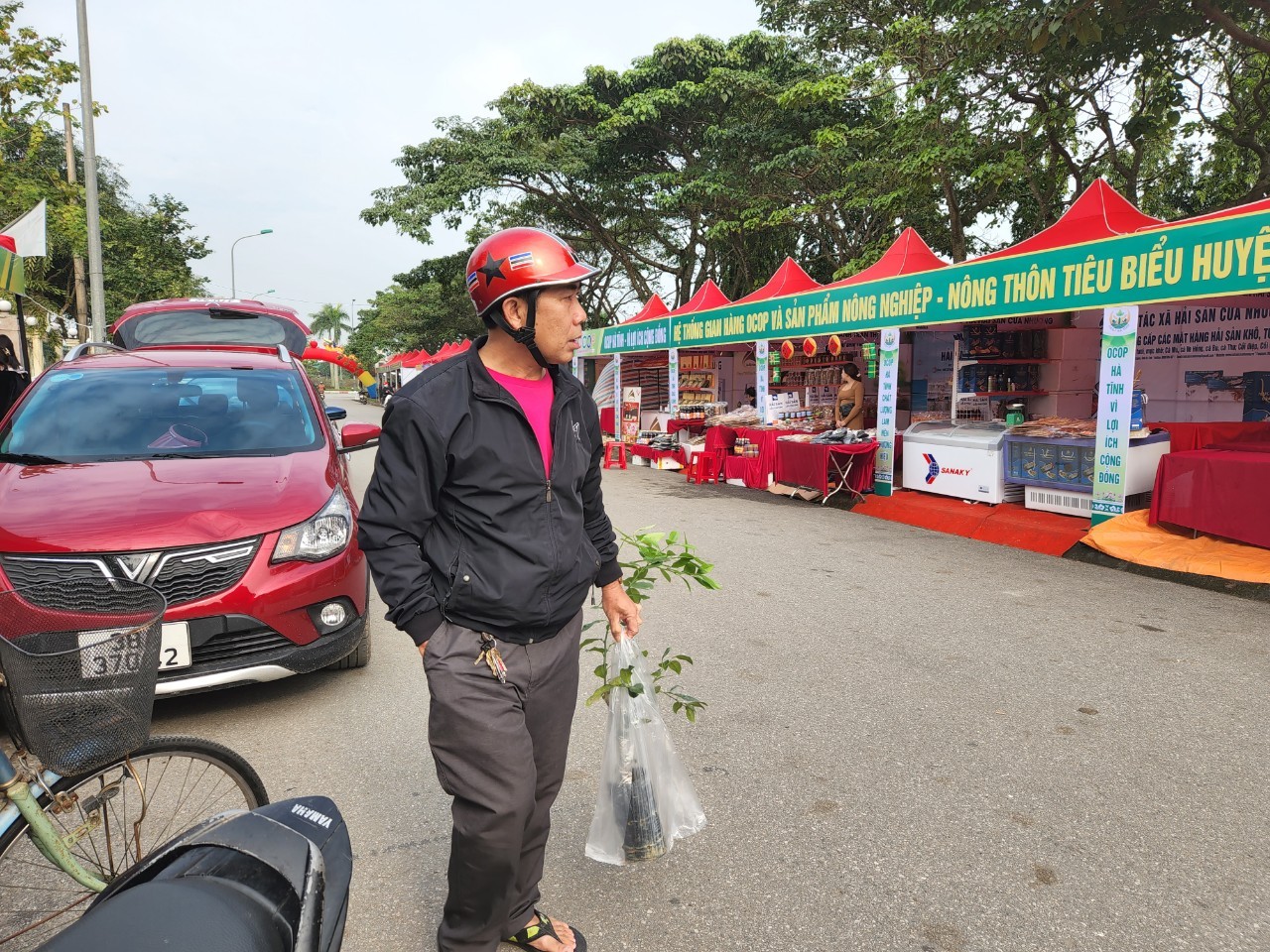 nguoi dan mua cay giong ve trong