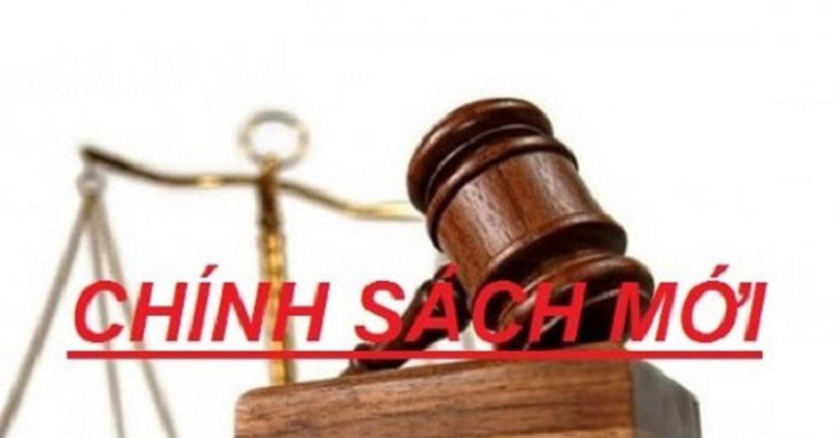 Hai bộ luật có hiệu lực từ tháng 4/2026