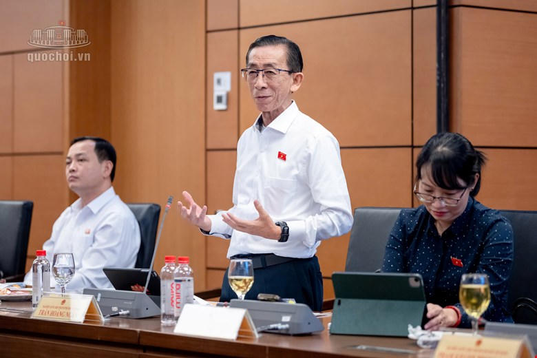 Đại biểu Trần Hoàng Ngân, Đoàn ĐBQH thành phố Hồ Chí Minh phát biểu. Ảnh: quochoi.vn