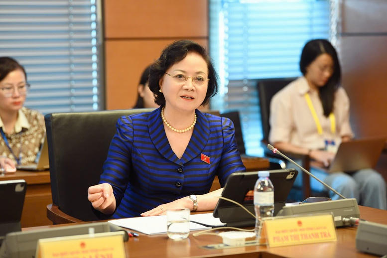 Phó Thủ tướng Phạm Thị Thanh Trà phát biểu thảo luận tại Tổ 15. Ảnh: VGP