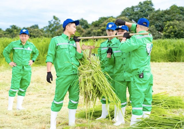 C&aacute;c bố c&acirc;n cỏ