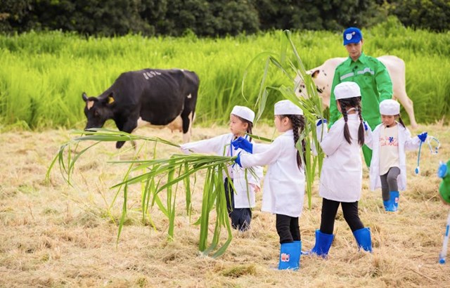 Bố ơi, mình đi đâu thế? 2025 - Tập 10: Nắng xứ Nghệ cháy da, tiếng Nghệ - tiếng Thái khiến các bố 'rối não', dàn cast nhí lần đầu học nuôi bò sữa - Ảnh 1