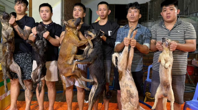 Từ “công xưởng” trộm chó bằng ô tô- lần ra đường dây tiêu thụ hơn 10 tấn thịt liên tỉnh