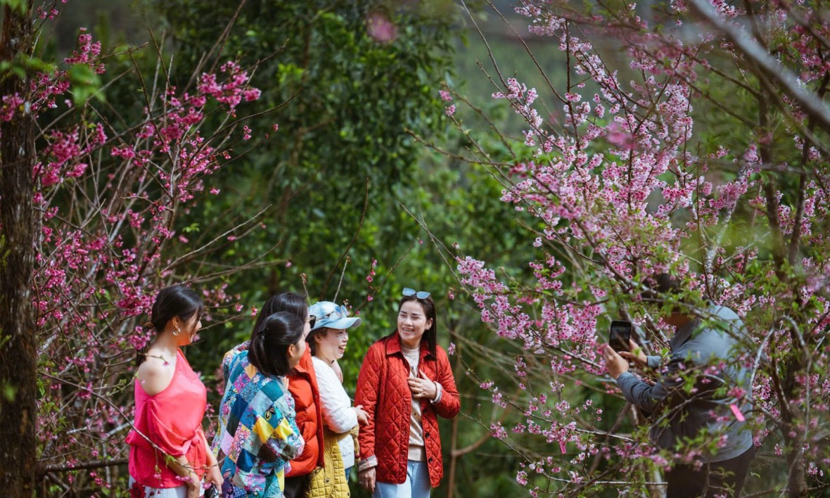 Quảng Ngãi đón hơn 96.000 lượt khách trong kỳ nghỉ Tết Dương lịch