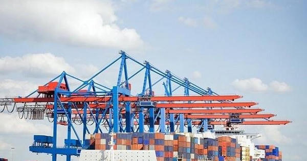 CTCP MHC (MHC) đặt mục tiêu kinh doanh năm 2026 giảm sâu