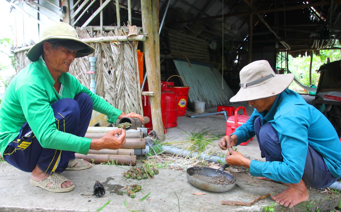 Rừng U Minh Hạ - hương mật, vị đất địa đầu cực Nam Tổ quốc