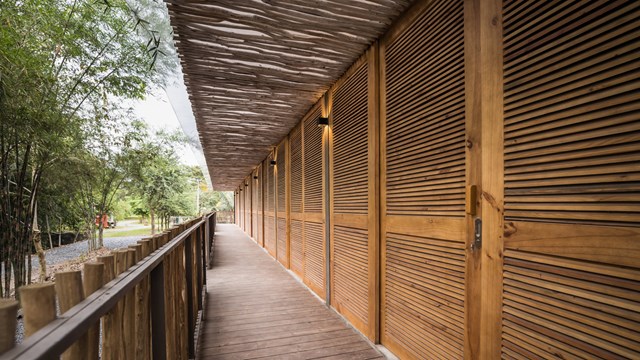 Mái nhà bằng trấu trộn, tường gạch phủ vôi tự nhiên trong dự án 'lớp học xanh' - Ảnh 3