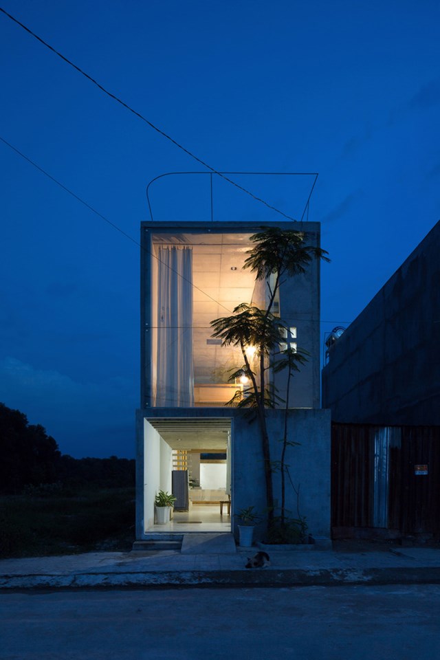 Ngôi nhà không cửa sổ của người độc thân - Ảnh 1