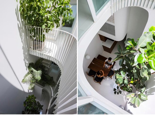 Nhà một mặt tiền 3,5 m nhưng ánh sáng chan hòa khắp nơi - Ảnh 4 Nhà một mặt tiền 3,5 m nhưng ánh sáng chan hòa khắp nơi - Ảnh 4