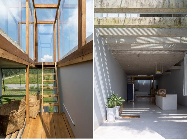 Ngôi nhà không cửa sổ của người độc thân - Ảnh 10