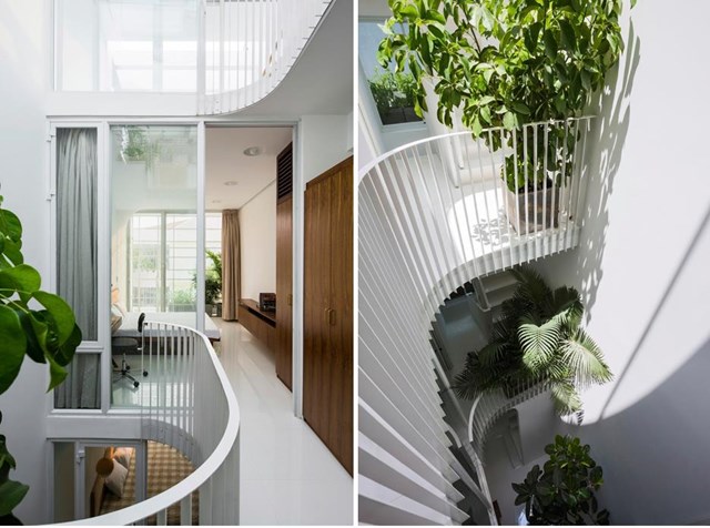 Nhà một mặt tiền 3,5 m nhưng ánh sáng chan hòa khắp nơi - Ảnh 3 Nhà một mặt tiền 3,5 m nhưng ánh sáng chan hòa khắp nơi - Ảnh 3