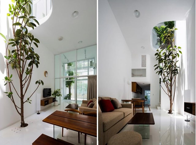 Nhà một mặt tiền 3,5 m nhưng ánh sáng chan hòa khắp nơi - Ảnh 2 Nhà một mặt tiền 3,5 m nhưng ánh sáng chan hòa khắp nơi - Ảnh 2