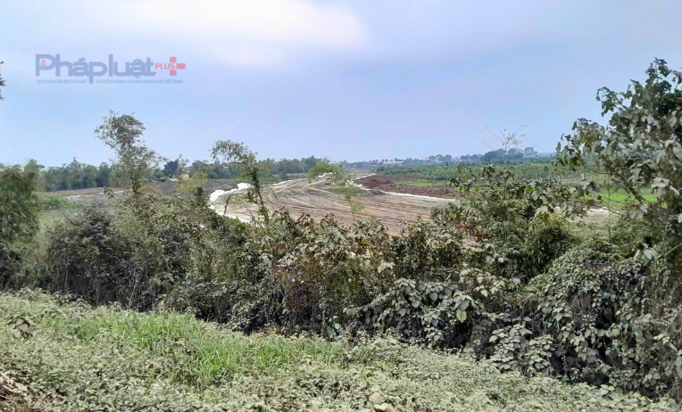 Cận cảnh con đường di sản bên bờ sông Hồng ở Hưng Yên đang dần hình thành Cận cảnh con đường di sản bên bờ sông Hồng ở Hưng Yên đang dần hình thành