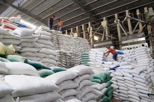 Xuất hơn 12.700 tấn gạo hỗ trợ người dân dịp Tết năm 2026
