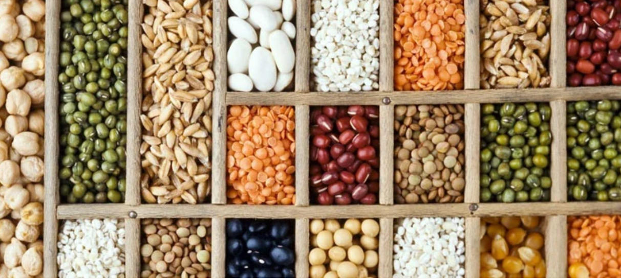 Ứng dụng AI vào cửa khẩu thông minh thúc đẩy xuất khẩu nông sản sang Trung Quốc