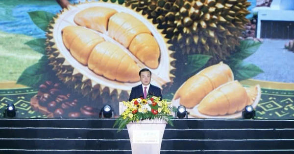 Nhiều kỷ lục được xác lập tại Lễ hội Sầu riêng Đắk Lắk năm 2026