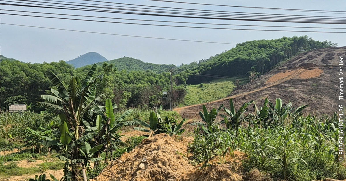 Cần xử lý nghiêm việc Công ty TNHH Hùng Long Tuyên Quang thi công đổ thải trái quy định tại dự án đường ĐH05 ở Tuyên Quang