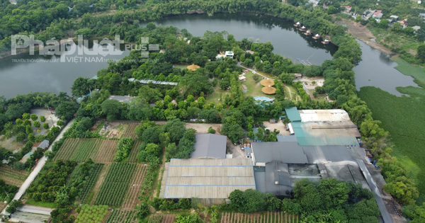 Công ty cổ phần Constrexim - Meco bị thu hồi hơn 10.000m2 đất