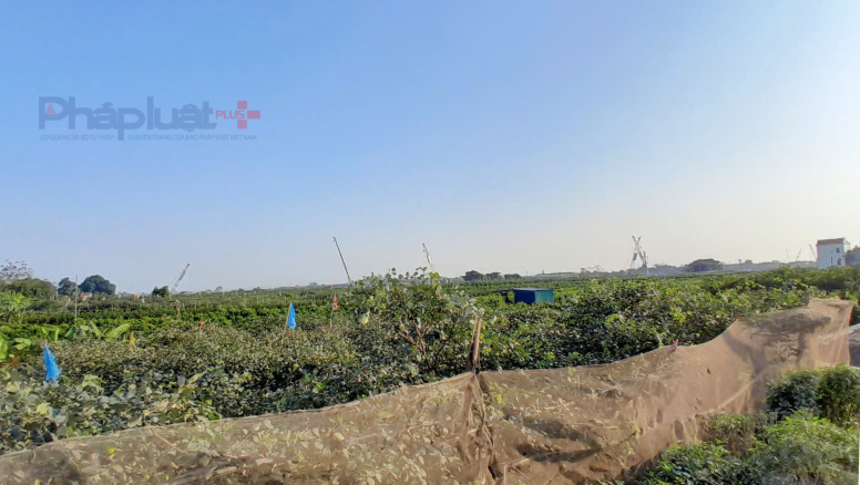 Cận cảnh đại công trường cầu Mễ Sở gần 4.900 tỷ đồng nối Hà Nội với Hưng Yên Cận cảnh đại công trường cầu Mễ Sở gần 4.900 tỷ đồng nối Hà Nội với Hưng Yên