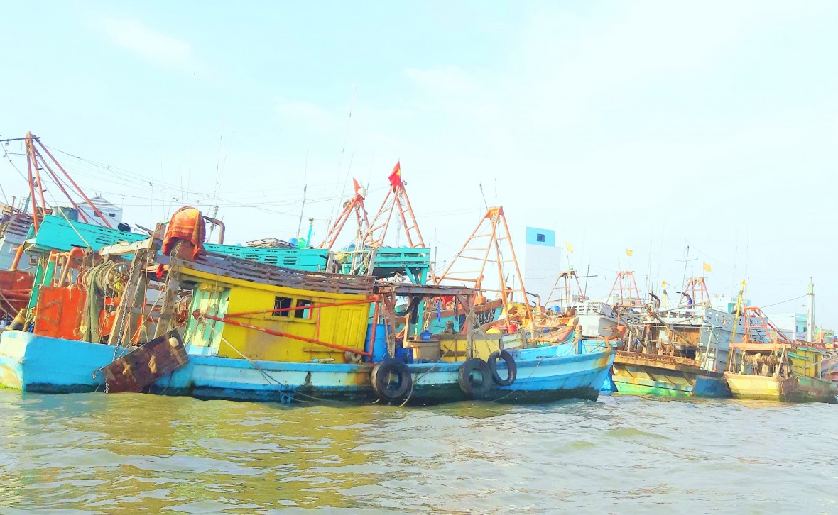 Kinh tế - xã hội xã Sông Đốc (Cà Mau): Năm 2025 đạt và vượt 16/17 chỉ tiêu