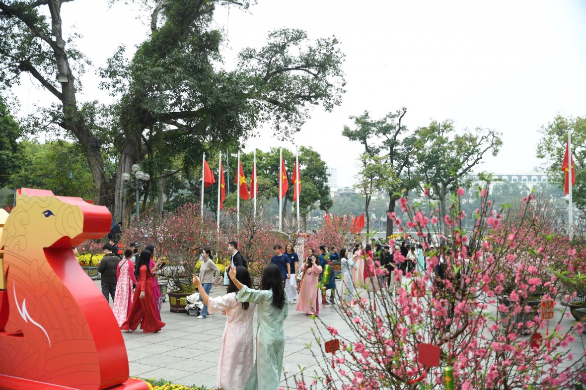 Khai mạc Không gian hoa xuân quy mô lớn nhất Hà Nội