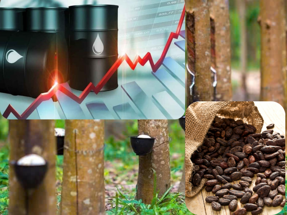 Thanh khoản mỏng, giá cao su đi ngang trong kỳ nghỉ Giáng sinh Thanh khoản mỏng, giá cao su đi ngang trong kỳ nghỉ Giáng sinh