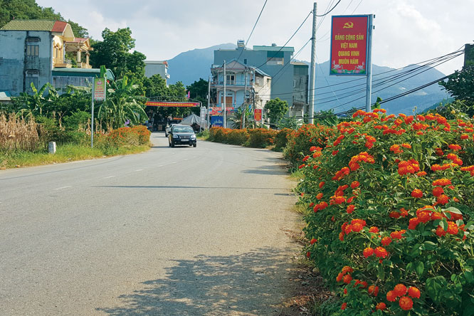 Duong hoa sach dep o xa Yen Binh