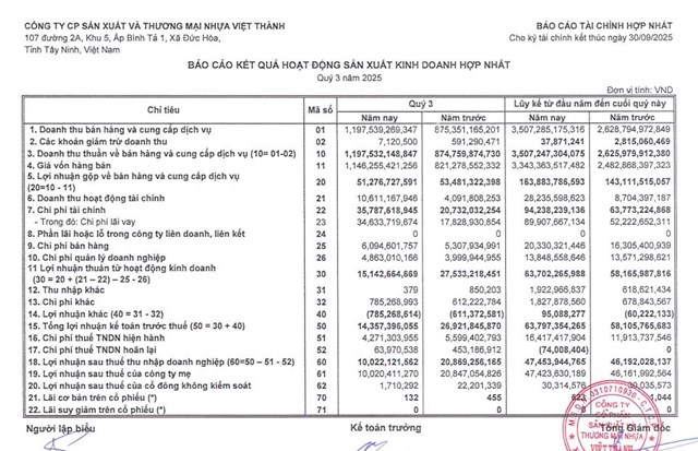 Công bố sai lệch báo cáo tài chính, Sản xuất và Thương mại Nhựa Việt Thành (VTZ) bị phạt  - Ảnh 1
